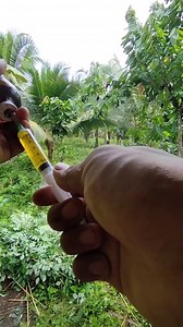 Paano tayo mag alaga ng Kambing? Nag purga at nagturok ng Vitamins! 🐐 |Backyard Goat Farming | Buhay Probinsya | Short Vlog Ep. 106 | AnghelJuan Adventure