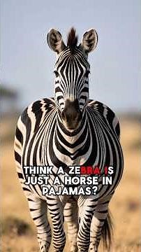 Top 10 Amazing Facts About Zebras 🦓 | You Won’t Believe #6!