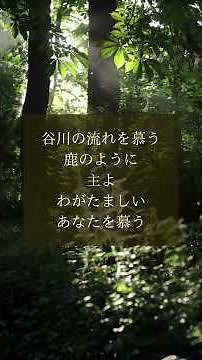 [ショート賛美] 鹿のように #歌ってみた #cover #賛美歌#賛美 #worship