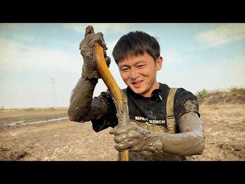 Seize the opportunity to make a fortune and keep up with the rising price of eels! #HotTopic #fis...