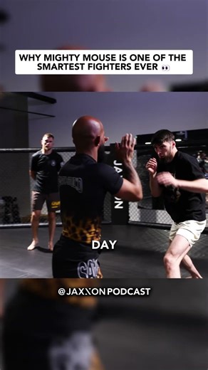 Why Mighty Mouse is One of the Smartest Fighters Ever