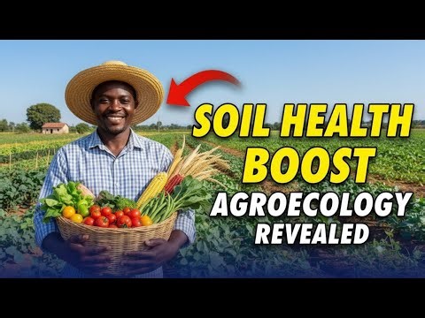 Agroecology in Niger: How Farmers Are Building Resilience | Djirataoua Case Study