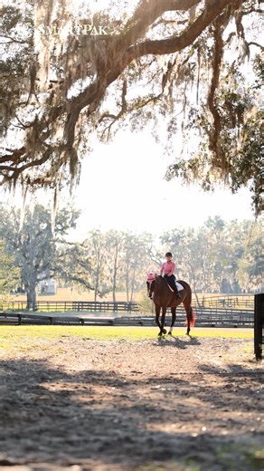 2.3K views | Update and upgrade with new colors and styles for spring  Shop our latest tack, apparel, saddle pads, and fly gear now! | SmartEquine | Facebook