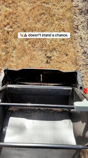 Effortless Yard Cleanup with VEVOR Push Lawn Sweeper