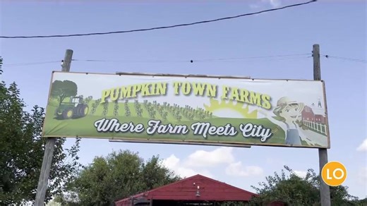 Discover fall fun at Pumpkin Town farms: activities and attractions for all ages