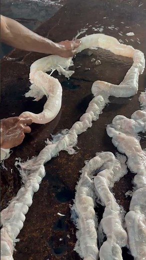 How to Clean Pig’s Intestine Properly | Step-by-Step Guide #butcherskills #pigintestine #porkcuts