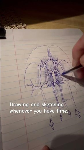 Drawing and sketching whenever you have time. Human anatomy drawings #sketchings #sketchartist #art