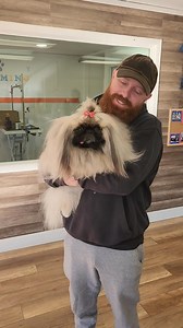 Melissa Black with Jereme Paddock at Paddock's Paws Pet Care & Training havin so much fun!! He is the owner and ally is his expert groomer!! Toby The Pampered Pekingese | Melissa Black