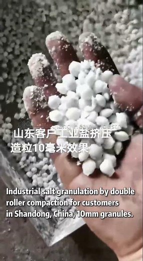 Industrial Salt Double Roller Granulation | Best Machine for You! Try Granulator Machine#granulator