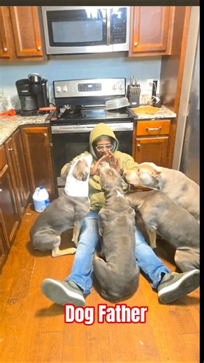 Daddy loves his bullies but stay calm