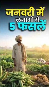 जनवरी में लगाएं ये 5 फसलें | Jan–Feb Planting | Okra | Cucumber | AgroStar