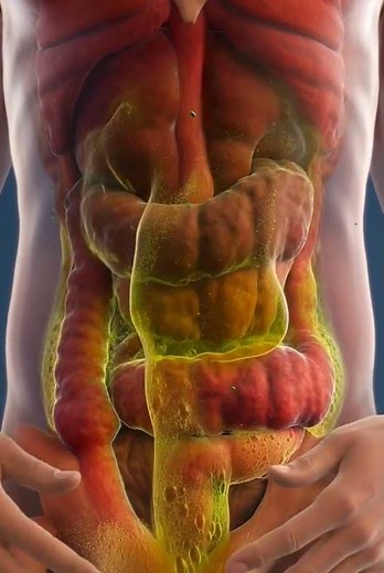 🍞😱 What Happens If You Eat Moldy Bread? | Inside Your Body in Real Time