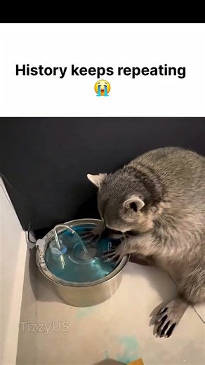He Didn't Know Cotton Candy Dissolves! 😭🍬