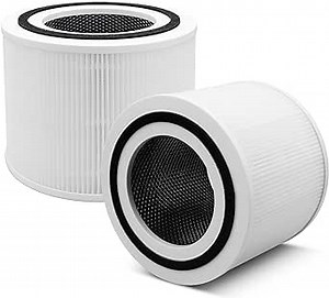 2 Pack 300 Replacement Filter Compatible with 300, 300-RF, 300S, 3-in-1 H13 Grade 300 Filter, Part # 300-RF (2 Pack)