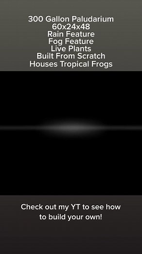 300 Gallon Paludarium Housing Tropical Frogs. #paludarium #nature #frogs #plants #water #diy #custom #foryou #relaxing