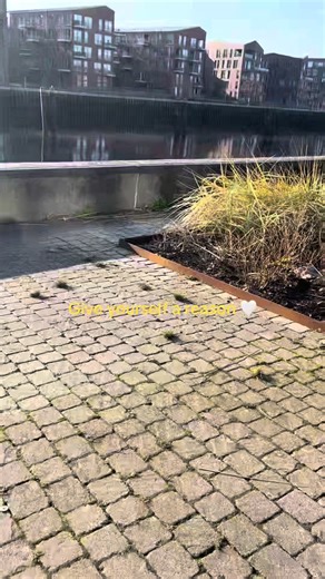 Ich habe wirklich lange gebraucht um zu verstehen warum es überhaupt richtig ist zu recovern und habe lange nach Gründen gesucht aber nie einen gefunden. Also habe ich angefangen mir selbst Gründe zu suchen denn es gibt so viele mehr als du denkst!🤍 Schreibt gerne in die Kommentare wenn ihr Interesse daran habt was ich mir für Gründe gesucht habe dann mache ich dazu nochmal ein Video!🤍 Ihr seit stark!🤍 #recoverytok #mentalhealthmatters #Recovery #mentalhealth #fyp