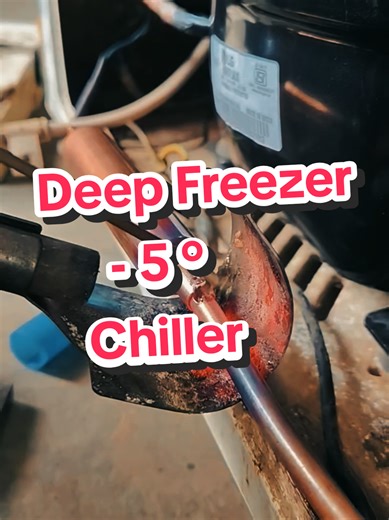 300 Litre Deep Freezer Converted to -5° Chiller Process