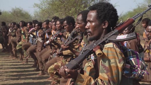 War in Ethiopia: Oromo Liberation Army advances towards Addis Ababa