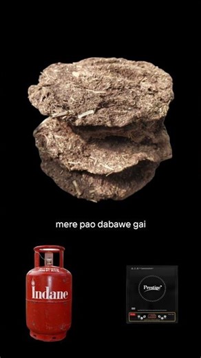 Remember 🥹 Gobar Goitha over LPG and Induction