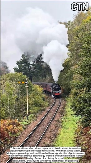 Historic Steam Train Charging Through the Forest