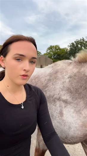 Another turnout adventure with Lillian… I think we made progress 🤔 #horsegirlenergy #horsemum #mumlife #crazyhorse | The Pink Cob