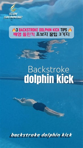 배영 돌핀킥 초보자 팁 Backstroke dolphin kick tips #swimming #swim #sports #pov #backstroke #freestyle #배영