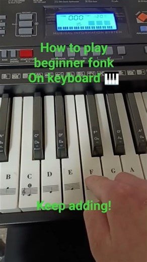 how to play beginner fonk