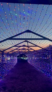 359K views · 3.3K reactions | You're gonna have the Hap-Hap-Happiest...