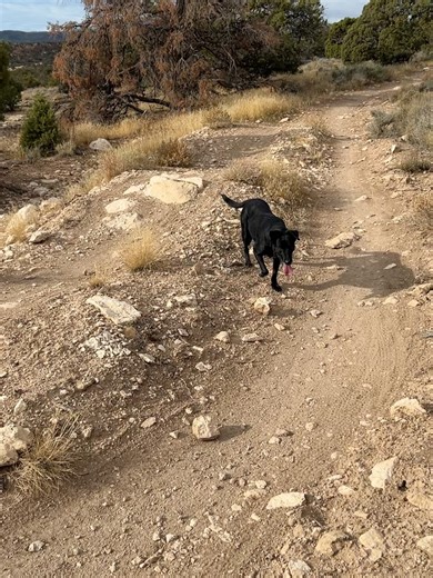 Jason Tyler Burton on Reels