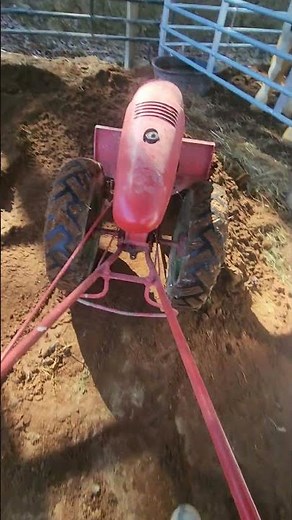 70 year old David Bradley walk behind tractor still useful as ever