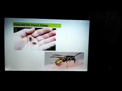 🩹 Safety and First Aid | Class 5 Science | Easy Explanation with Examples 👩‍⚕️🚑