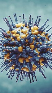 3d Render Visualization Virus Human Body Stock Footage Video (100% Royalty-free) 3484604809 | Shutterstock