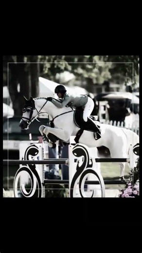 yeah she forgein😜😜 #fypシ #horse #equestrian #goviral #fypシ゚viral