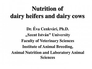 Nutrition of dairy heifers and dairy cows - SlideServe