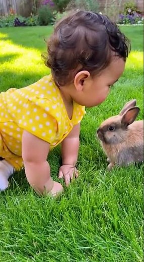 Baby tries to talk to garden bunny! 🐰| Baby Bee #baby #Cutebaby