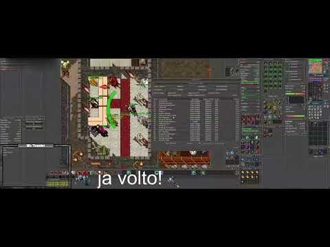 Tibia Gameplay Exploring the Classic MMORPG Building