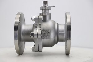 [Hot Item] DN65 Stainless Steel Floating Ball Valve