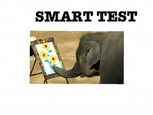 Smart test