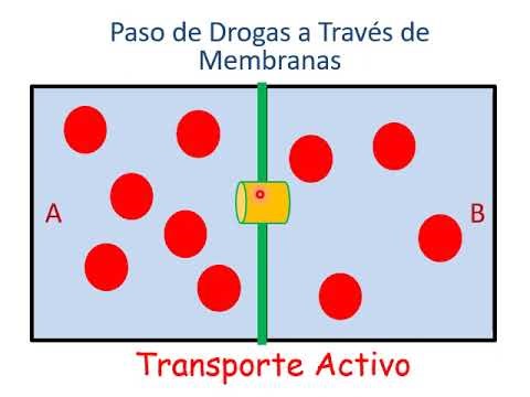 Señalización y excitabilidad neuronal