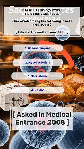 Set 11 | Neet Biology Chapter 2 PYQs|Biological Classification NEET PYQs |NEET Biology Class 11 Ch 2
