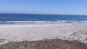 Shell Island Resort on Reels