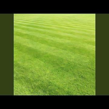 Freshly cut Grass