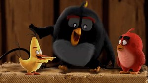 Follow the birds on their epic adventure on Bird Island and see them on the big screen like you’ve never seen them before! The #AngryBirdsMovie, also available in Arabic, will be in cinemas this May 12. | Empire Movies