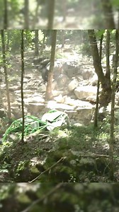 REDNECK Rocketship buggy blasts off at ADVENTURE OFFROAD PARK #WIDEOPENLIFE | Wide Open Design