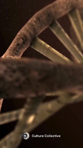 Mitochondrial Eve, the shared maternal ancestor of all humanity, lived 150,000 to 200,000 years ago in Africa. Her DNA legacy connects each of us, uniting humanity across time and continents. A beautiful reminder that we are all part of one ancient family. 🌍💫 #HumanConnection #SharedHeritage #DNAlegacy | Culture Collective