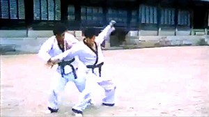 Amazing Hapkido | Hapkido World