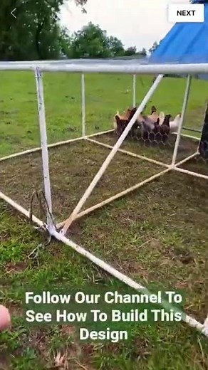 PVC Chicken 🐓 Tractor 🚜 (Full DIY)