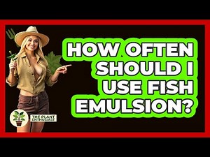How Often Should I Use Fish Emulsion?
