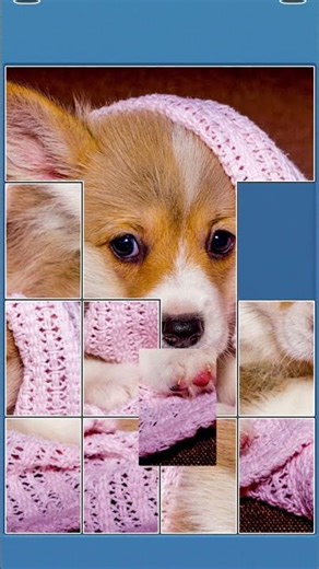 30 января 2026 г.