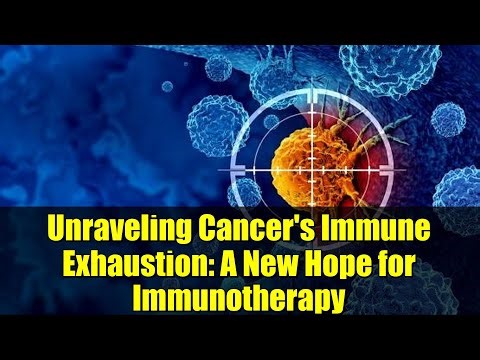 Unraveling Cancer's Immune Exhaustion: A New Hope for Immunotherapy